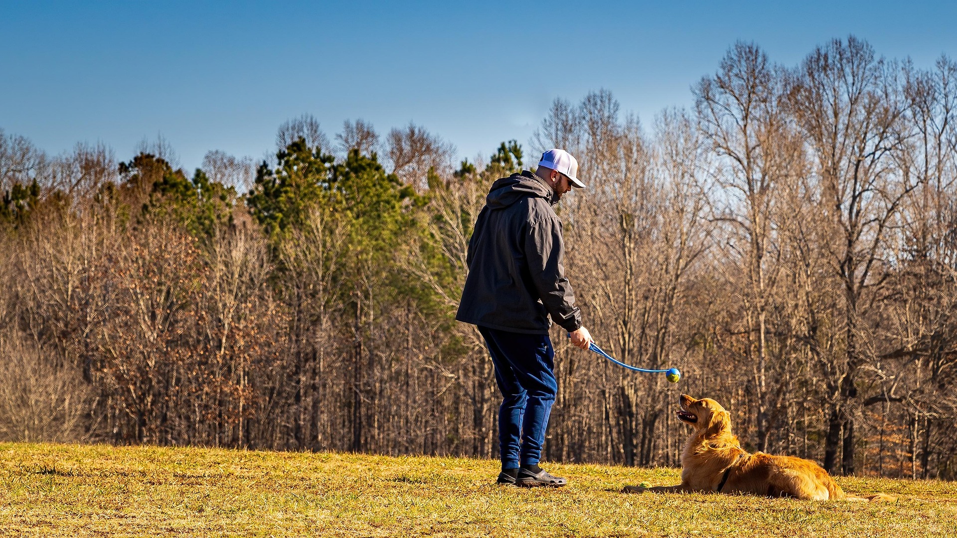 New Puppy Owner - One to one puppy training